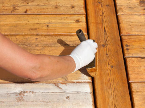 Slivertop Stringy 01